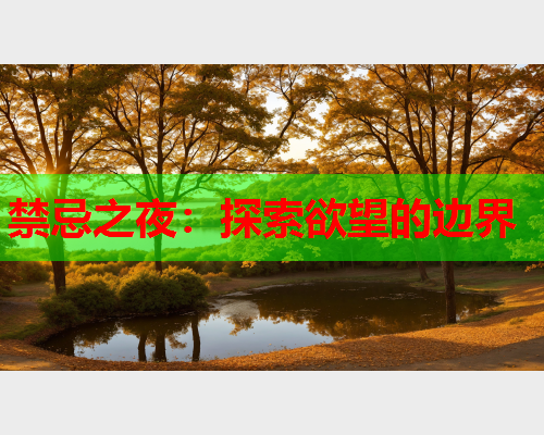 禁忌之夜：探索欲望的边界