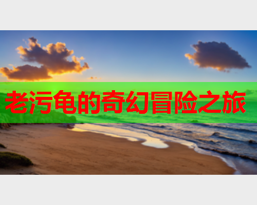 老污龟的奇幻冒险之旅