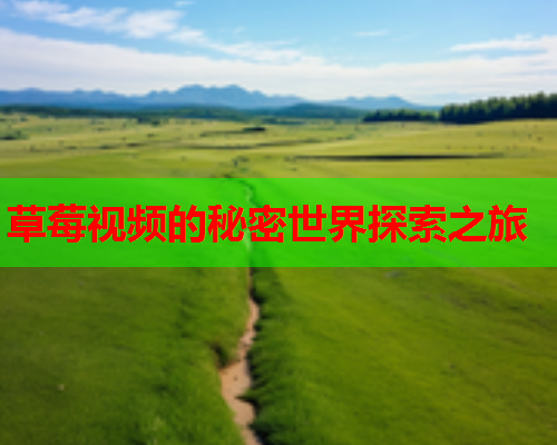 草莓视频的秘密世界探索之旅