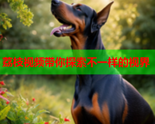 荔枝视频带你探索不一样的视界