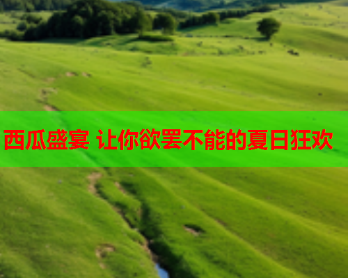 西瓜盛宴 让你欲罢不能的夏日狂欢