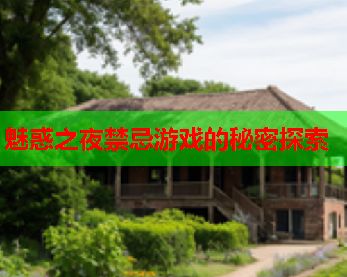 魅惑之夜禁忌游戏的秘密探索