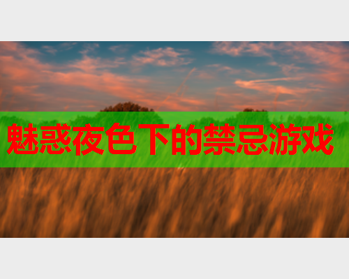 魅惑夜色下的禁忌游戏