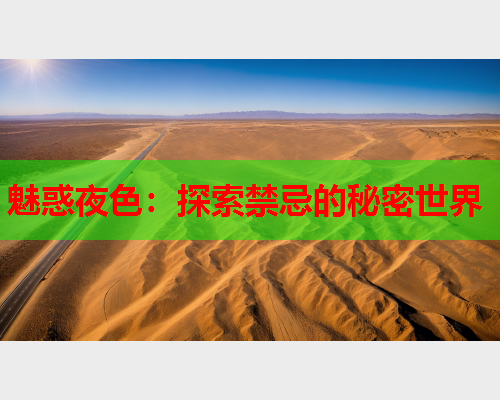 魅惑夜色：探索禁忌的秘密世界